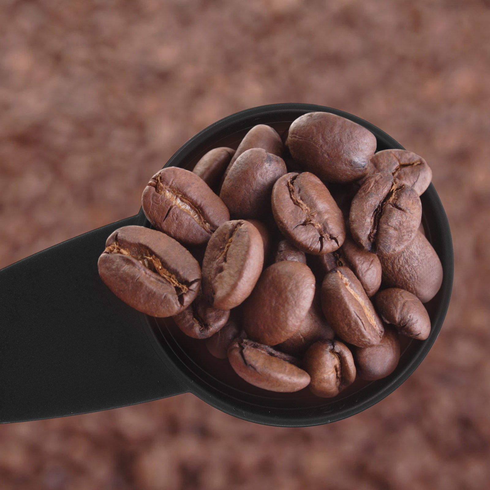 Lot de 5 cuillères doseuses à  - Coffee Tea Spoon avis et prix