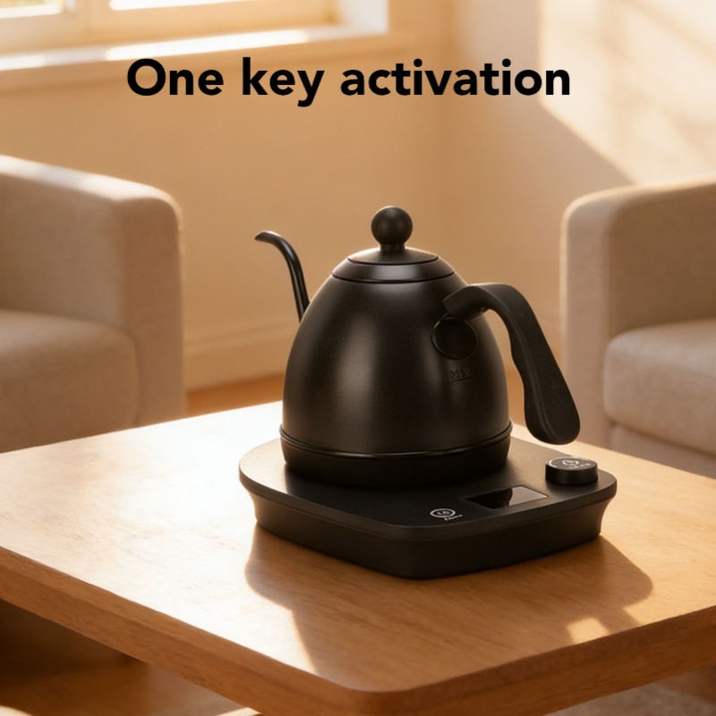 Bouilloire électrique à bec de - Pour Over Kettle avis et prix