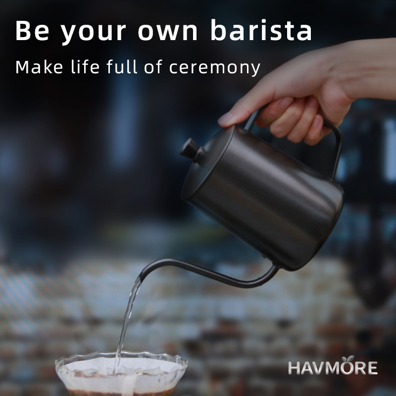 HAVMORE 304 bouilloire à thé e - Coffee Tea Brew avis et prix